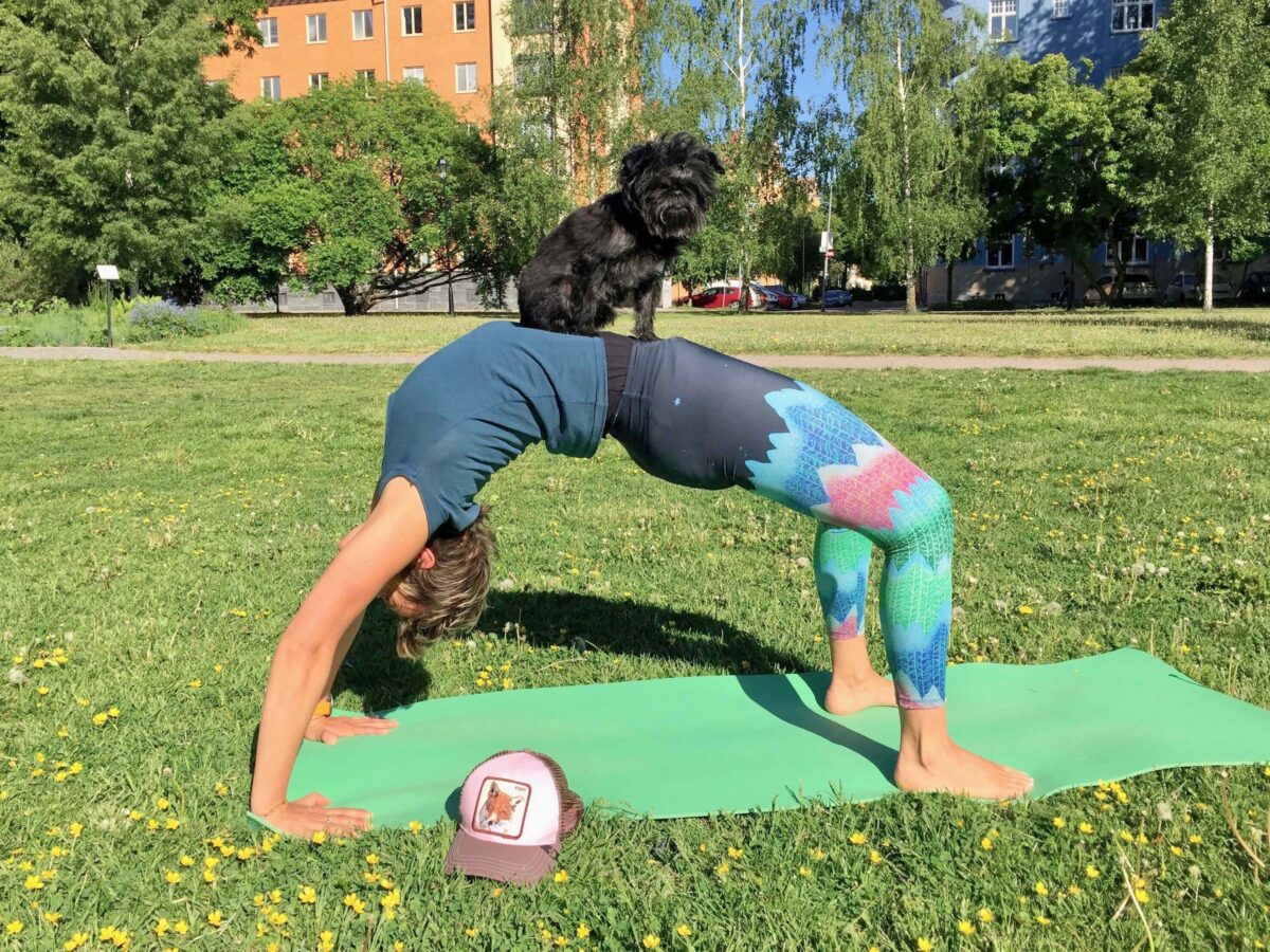 yoga i vasaparken uppsala